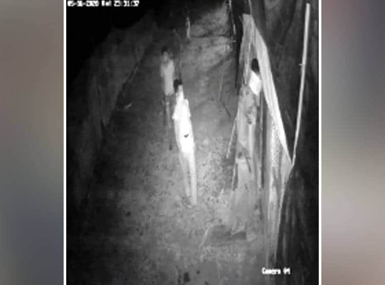 हथियारों के दम पर कड़कनाथ मुर्गों की लूट, CCTV में कैद हु़ए लुटेरे