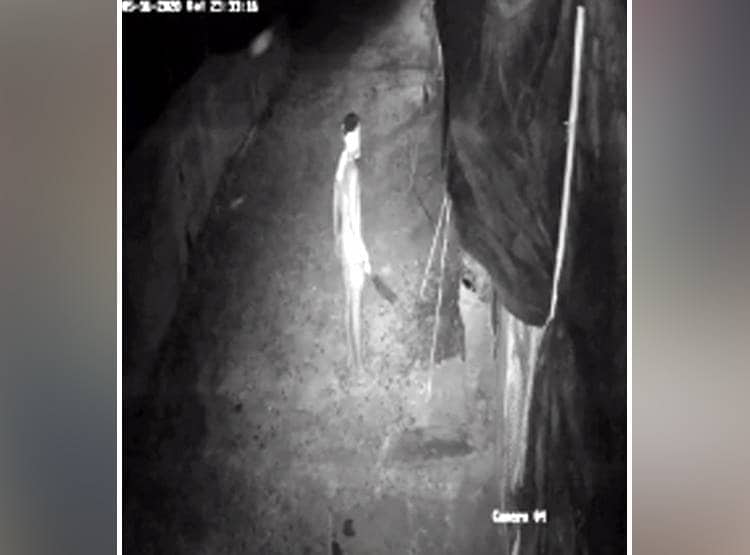 हथियारों के दम पर कड़कनाथ मुर्गों की लूट, CCTV में कैद हु़ए लुटेरे