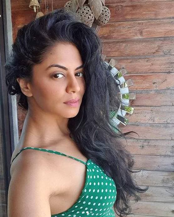 बिल्ली से मेड तक, लॉकडाउन में सेलेब्स ने इन्हें बनाया सोशल मीडिया स्टार