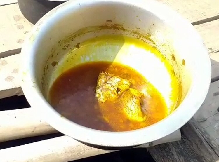 मछली खाकर गुजारा.