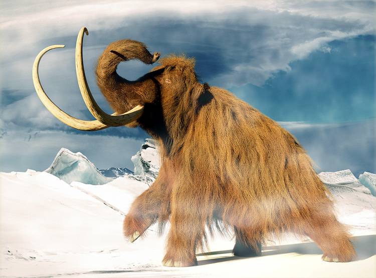 इस एयरपोर्ट के नीचे मिले हजारों साल पुराने विशाल 'हाथियों' के अवशेष