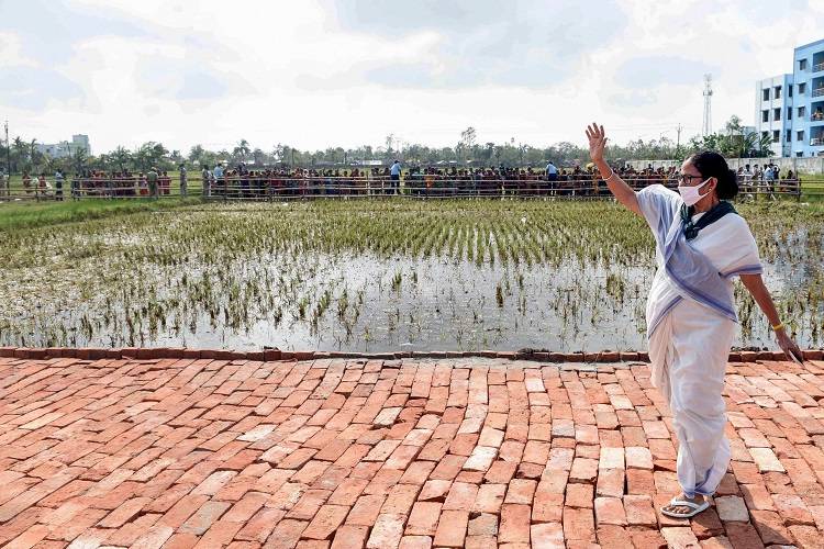 अम्फान तूफान ने उखाड़ दी दुनिया के सबसे पुराने बरगद पेड़ की जड़ें