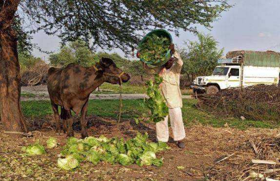 कोरोना वायरस: भारत के लॉकडाउन की वजह से मुश्किल में फंसा मलेशिया