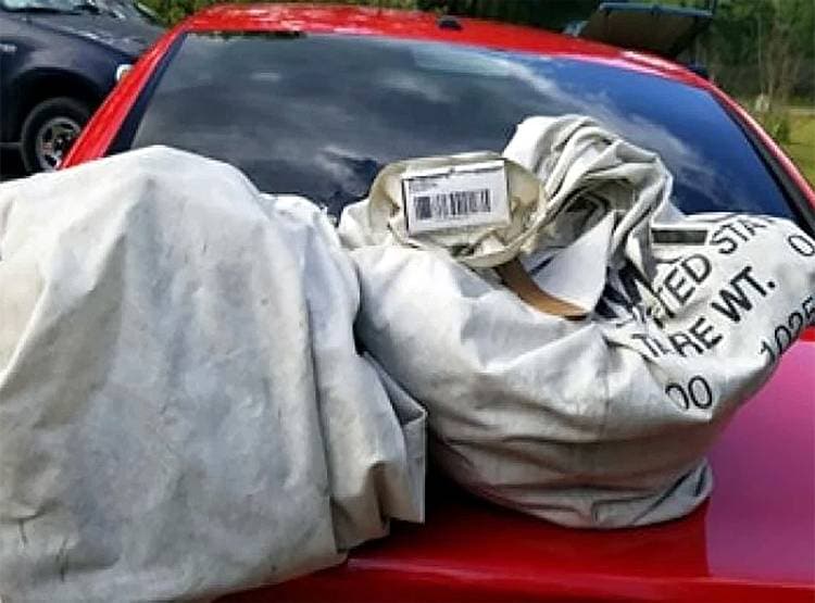 परिवार को कचरे में मिले दो बैग, खोलते ही उड़े होश, निकले 7.5 करोड़