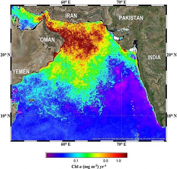 हिमालय में पिघल रही बर्फ से समुद्र को खतरा, सैटेलाइट से दिखी ये चीज