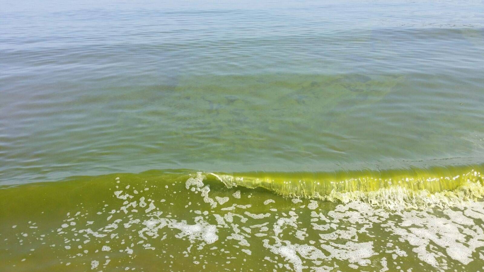 हिमालय में पिघल रही बर्फ से समुद्र को खतरा, सैटेलाइट से दिखी ये चीज