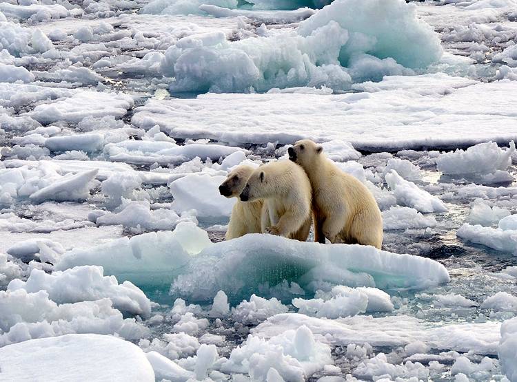 अपनी जगह से खिसकता जा रहा है 'North Pole', कनाडा से साइबेरिया पहुंचा