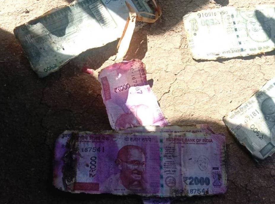 नदी में मछली पकड़ने उतरा मछुआरा, जाल में फंसी प्लैटिना बाइक