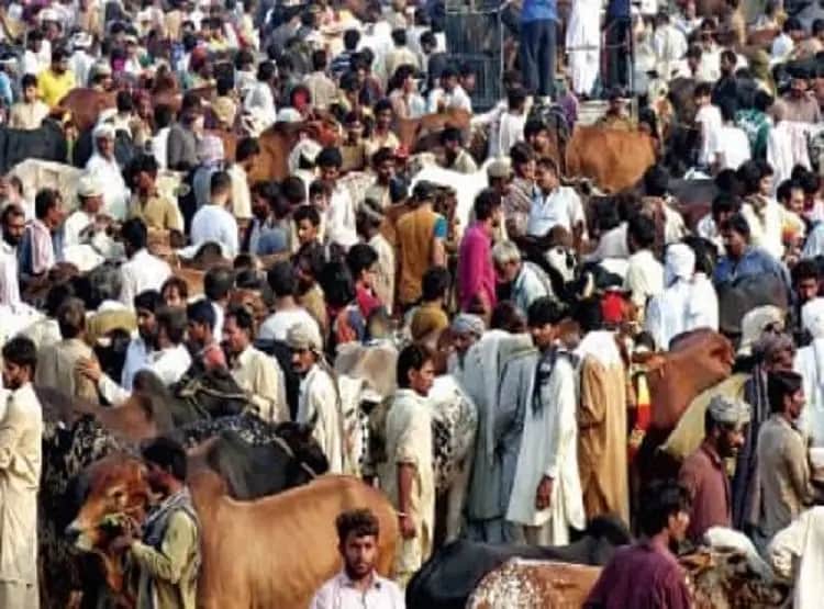 भारत को अकड़ दिखाने के चक्कर में फंसा PAK! अब इमरान दे रहे सफाई