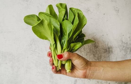 मई के महीने में खाएं ये हेल्दी चीजें, कोसों दूर रहेंगी बीमारियां