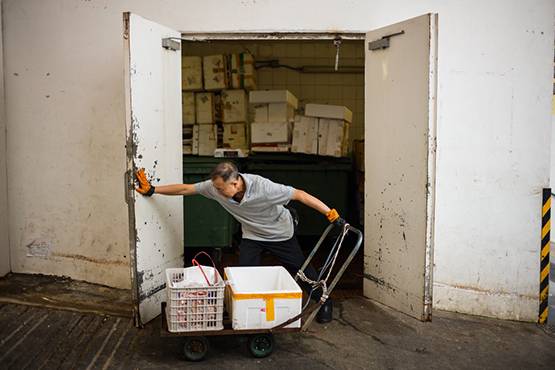 अब रहस्यमय तरीके से चूहे इंसानों में फैला रहे खतरनाक वायरस, डॉक्टर भी हैरान