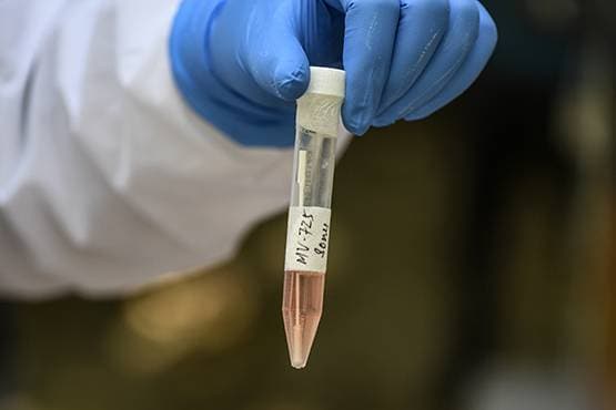 एक ही बिल्डिंग के 41 लोग कोरोना पॉजिटिव, अभी 108 की रिपोर्ट आनी बाकी