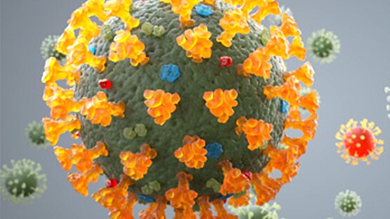 coronavirus