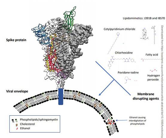 'माउथ वॉश से मर सकता है कोरोना', स्टडी के बाद वैज्ञानिकों ने कहा