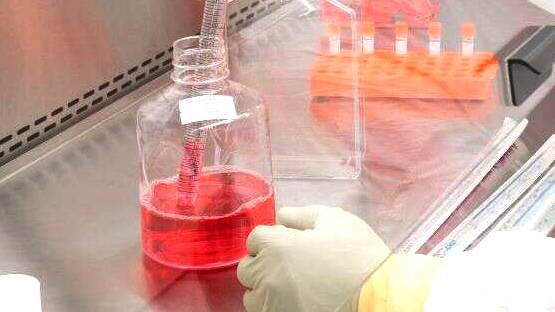 बांग्लादेशी डॉक्टरों ने 'ढूंढा इलाज': 60 कोरोना मरीजों पर टेस्ट, 4 दिन में सब ठीक