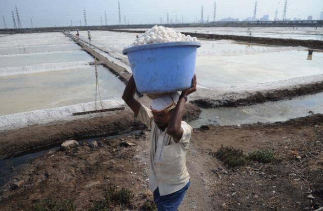 नमक का स्टॉक हो रहा है कम, लॉकडाउन की वजह से प्रोडक्शन ठप!