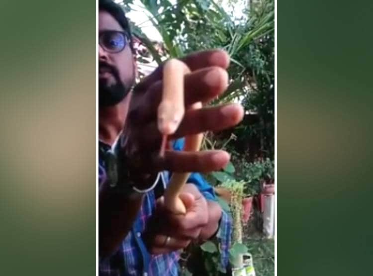 कुएं में मिला दुर्लभ प्रजाति का सांप, DNA में बदलाव से बदल गया रंग