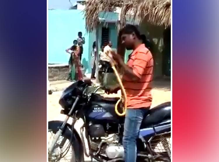 सांप को गर्दन में डालकर चला रहा था बाइक, काटा तो गुस्से में चबा गया