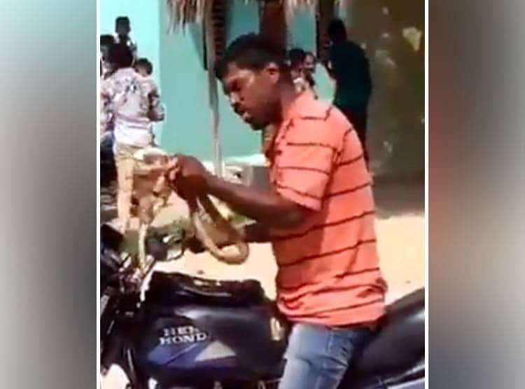 सांप को गर्दन में डालकर चला रहा था बाइक, काटा तो गुस्से में चबा गया