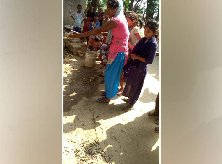 चूहे के बिल में डाला पानी, बाहर आकर रेंगने लगे 200 से अधिक सांप