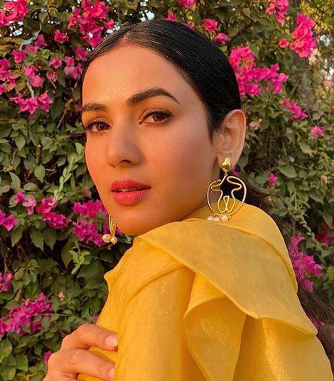 जन्नत में इमरान हाशमी संग काम कर हुईं पॉपुलर, आजकल क्या कर रहीं सोनल चौहान