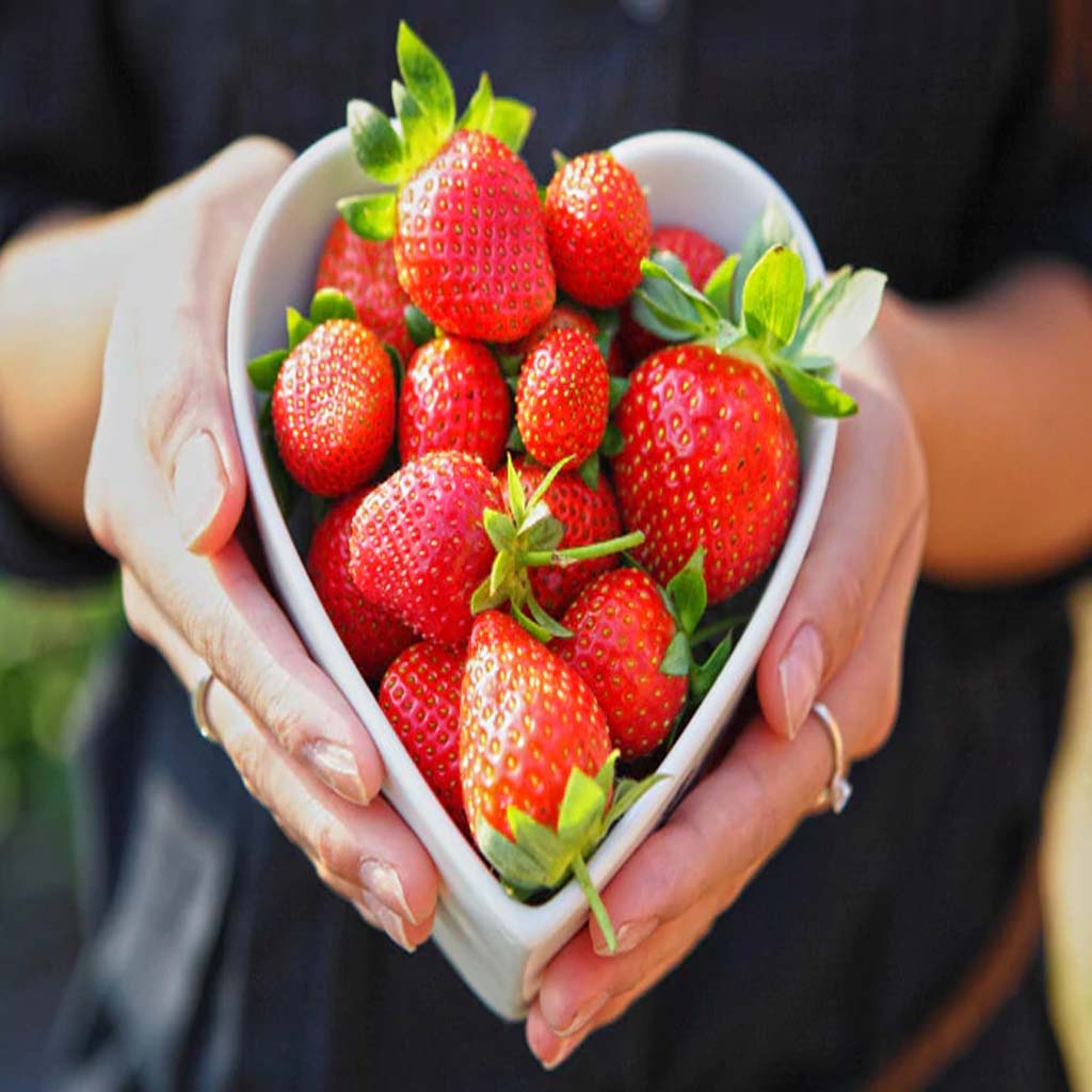 स्ट्रॉबेरी