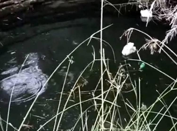 1 का गला काटा, 2 बच्चों के पैर बांध कुएं में फेंका, फिर खुद दे दी जान