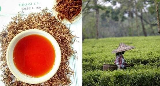ये है दुनिया की सबसे महंगी चाय, 1 kg की कीमत रोल्स रॉयस से भी ज्यादा