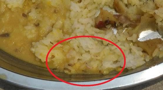 मजदूरों के खाने में मिले कीड़े, क्वारनटीन सेंटर में जमकर हंगामा