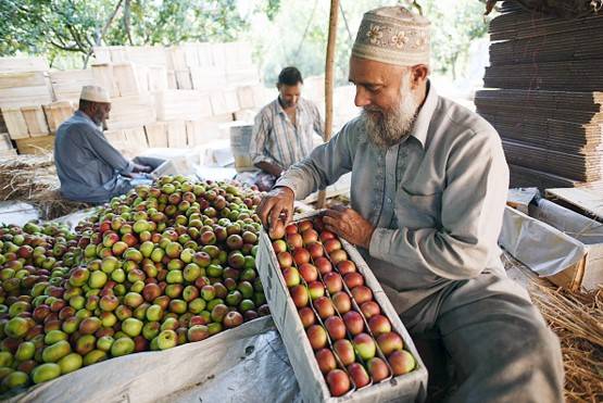 जम्मू कश्मीर की नागरिकता अब कैसे मिलेगी, जानें- क्या होंगे नये नियम
