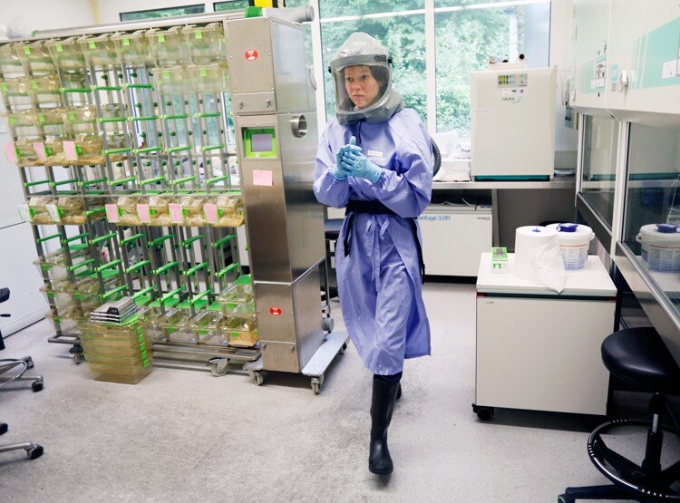 प्लाज्मा थ्योरी 