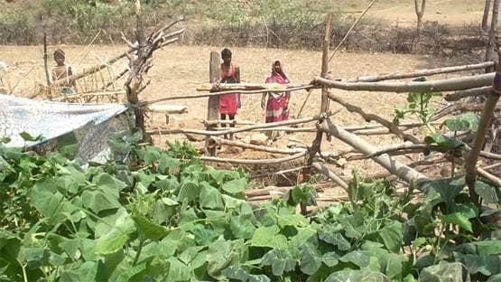 (Morning) 20 दिन की कड़ी मेहनत, 15 फीट गहरा 5 फीट चौड़ा कुआं खोद डाला, बन गए आत्मनिर्भर