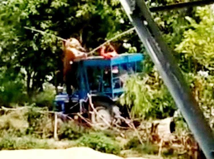 अचानक ट्रैक्टर पर खड़ा हो गया बाघ, तीन किसानों को कर चुका है घायल