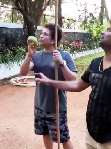 VIDEO: सचिन ने पेड़ से गिराए नींबू, भज्जी बोले- पाजी 2-3 मुझे भी दे दो