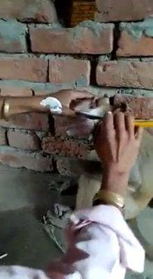 एक हजार रुपये के लिए बंदर की हजामत, वीडियो हुआ वायरल