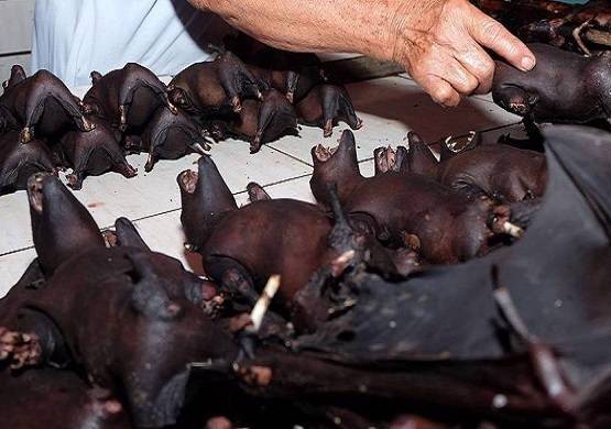 चीन को झटका: WHO ने माना, कोरोना फैलने में वुहान की बड़ी भूमिका