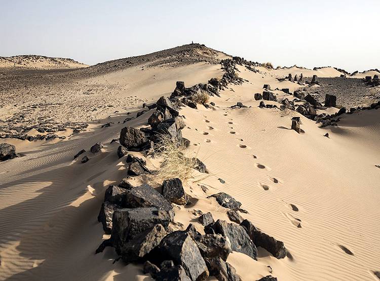 अफ्रीका के सहारा रेगिस्तान की धूल बदल रही है अमेरिका के आसमान का रंग