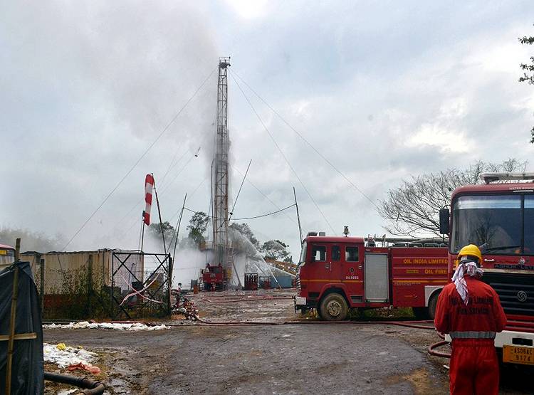 तेल के कुएं से हुई लीकेज से इस नेशनल पार्क में मची तबाही, मर गईं सैकड़ों मछलियां