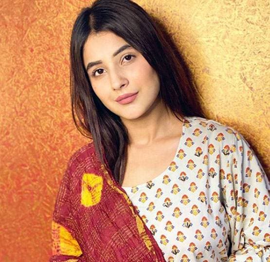 अंग्रेजी में हाथ तंग फिर भी दनादन लिख रहीं कैप्शन, शहनाज गिल ने बताया कैसे