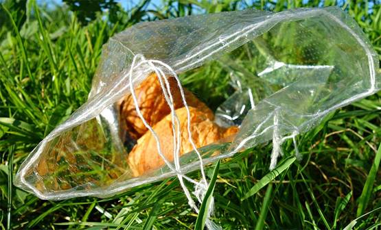 कोरोना: चूहे बन सकते हैं इंसानों के लिए बड़ा खतरा, एक्सपर्ट ने चेताया