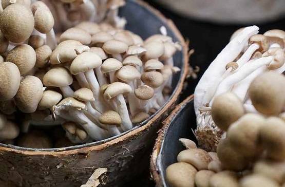 Food Safety Day: कोरोना काल में संजीवनी बूटी से कम नहीं ये 10 फूड