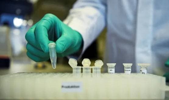 कोरोना वैक्सीन बनाने में UK को एक और सफलता, मिल सकती है खुशखबरी