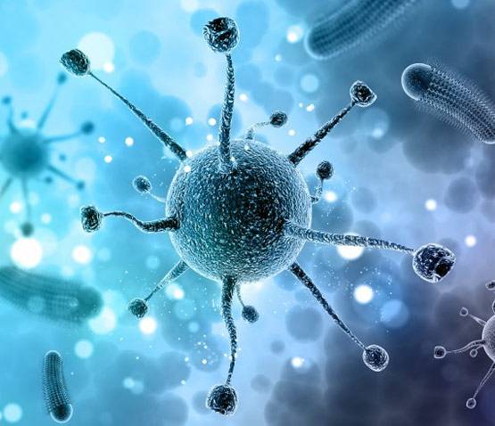 कोरोना वायरस भारत में नवंबर में मचाएगा सबसे ज्यादा तबाही: स्टडी