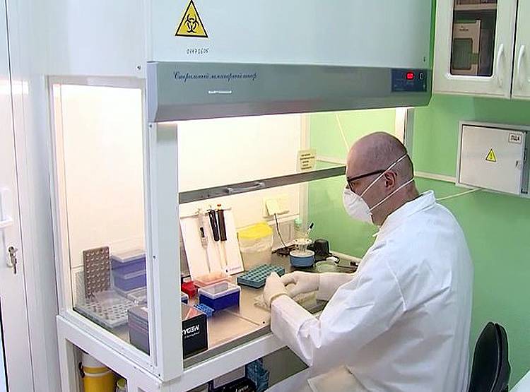 कोरोना के बाद नया संकट, रूस में खून पीने वाले कीड़ों का हमला