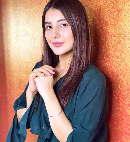 अंग्रेजी में हाथ तंग फिर भी दनादन लिख रहीं कैप्शन, शहनाज गिल ने बताया कैसे