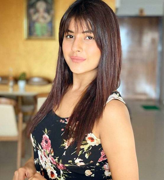 अंग्रेजी में हाथ तंग फिर भी दनादन लिख रहीं कैप्शन, शहनाज गिल ने बताया कैसे