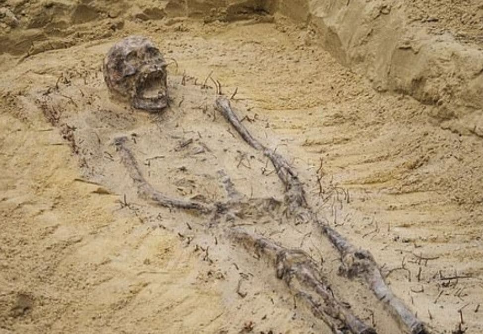 सड़क बनाने हो रही खुदाई में निकलीं खोपड़ियां, मिले 100 कंकाल