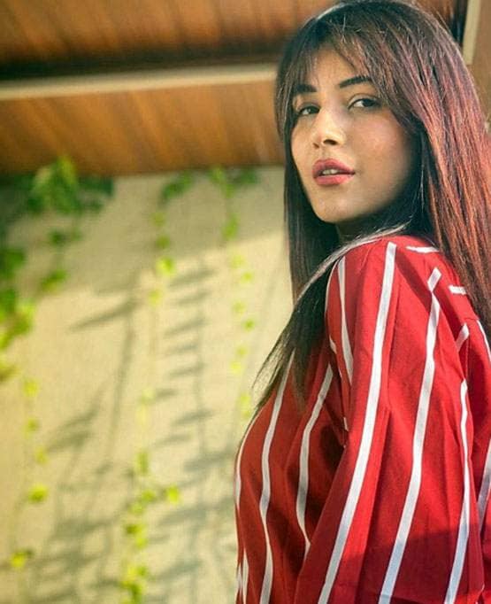 अंग्रेजी में हाथ तंग फिर भी दनादन लिख रहीं कैप्शन, शहनाज गिल ने बताया कैसे