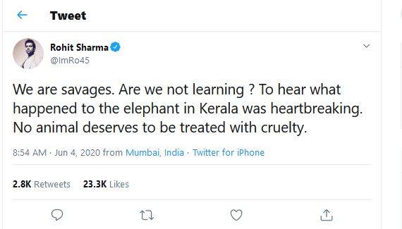 गर्भवती हथिनी को खिलाया था पटाखों से भरा अनानास, रोहित का गुस्सा फूटा