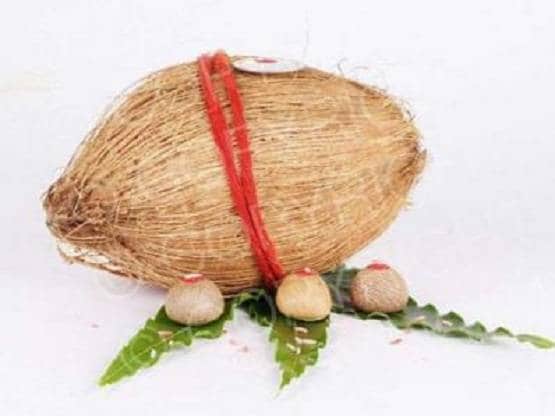 आषाढ़ का महीना शुरू, सेहत और शुभ कार्यों से जुड़ी ये 10 चीजें रखें ध्यान